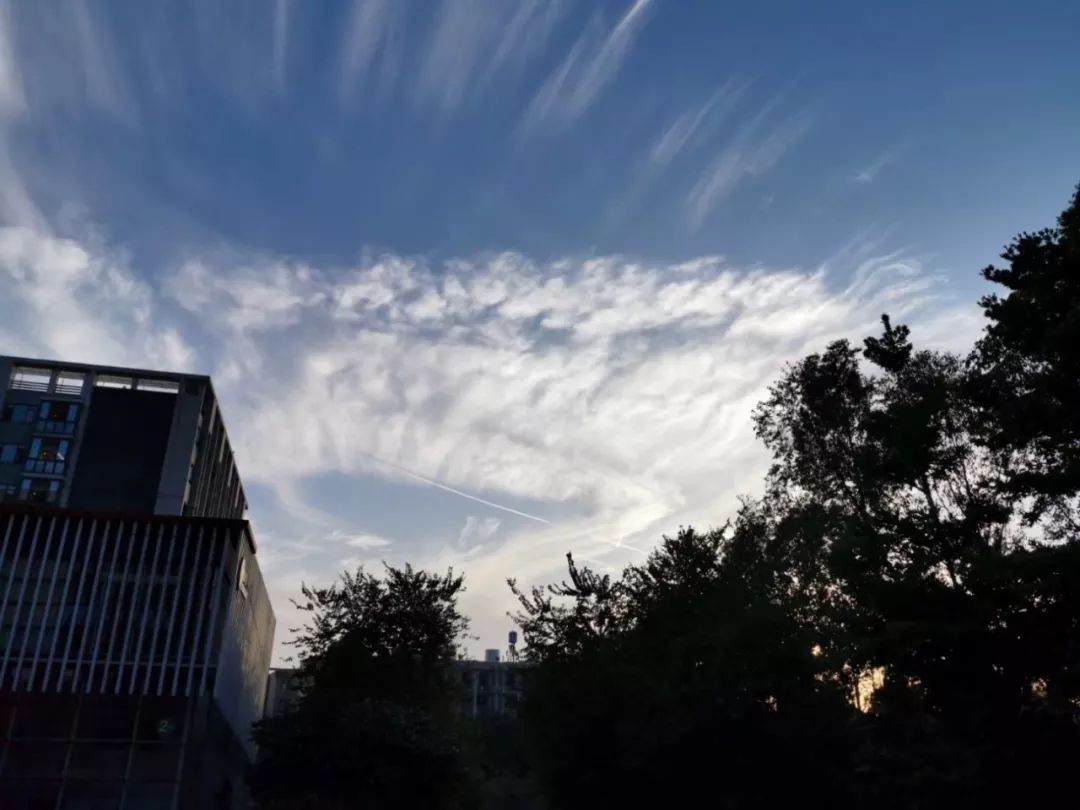 开云-关于摔跤夜战：岭南天虎队读秒扳平徽州霹雳队，主帅临场妙招韧性比赛的样板的信息